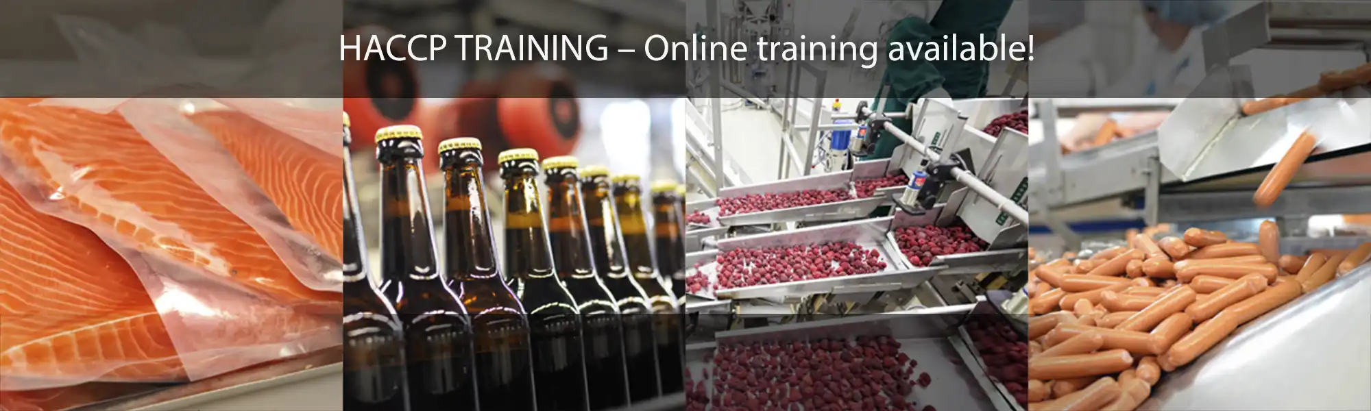 HACCP Online Training Available